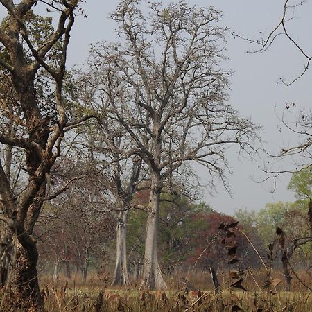 Babai Resort Pvt Ltd Bardiya Exteriér fotografie